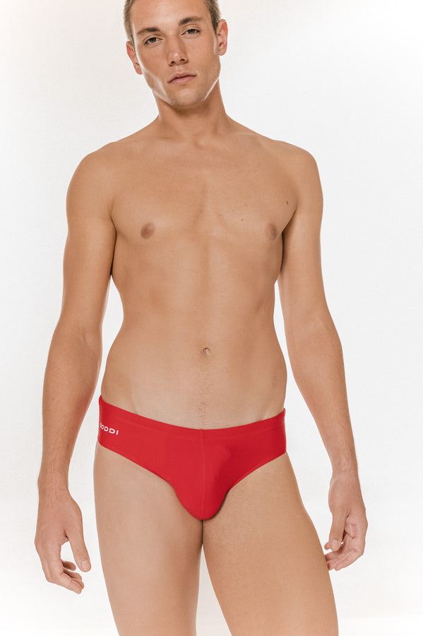 Original Brief + | Sandia