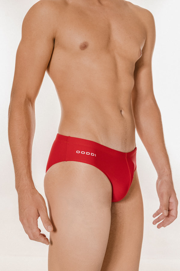 Original Brief + | Sandia-3