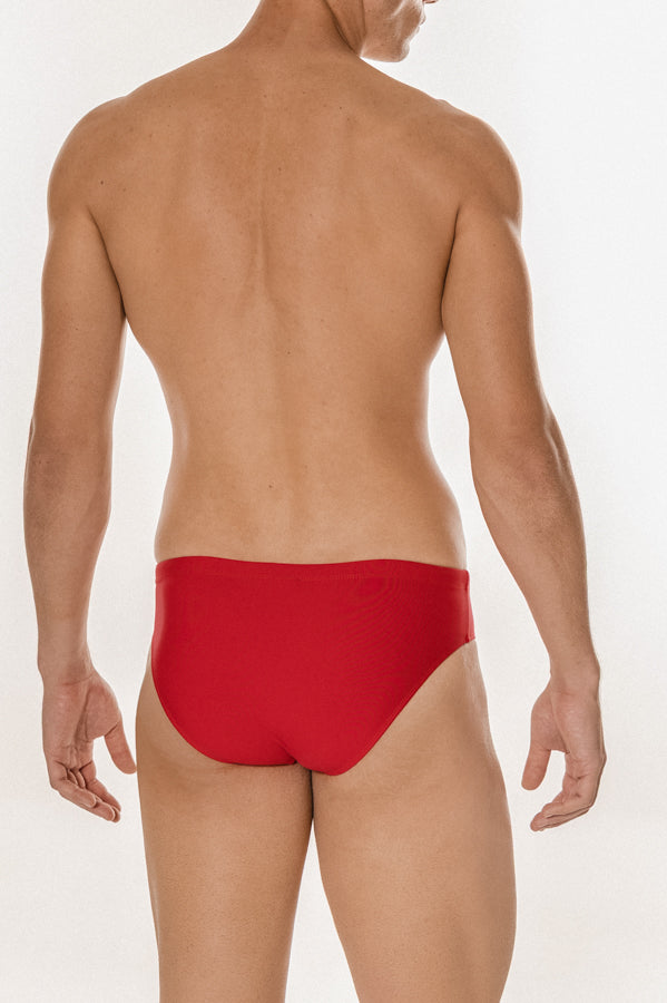 Original Brief + | Sandia-4